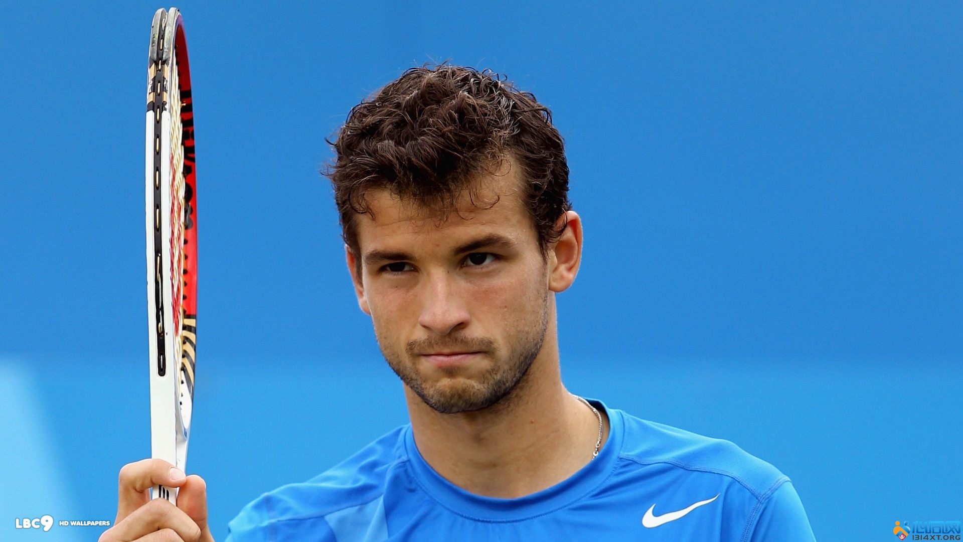 足球场上只 足球场上只